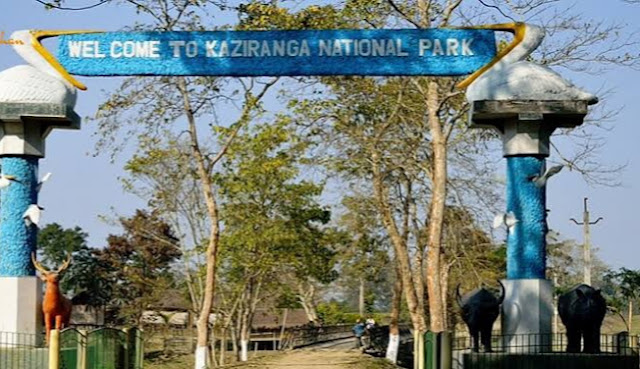 A visit to Kaziranga and Sivsagar class 9 questions answers