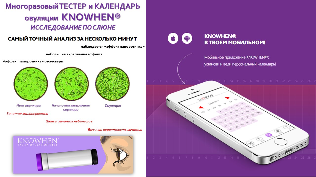  Перейти на сайт KNOWHEN®