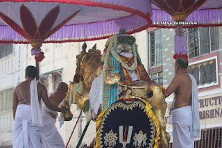 Kuthirai Vahanam,Vellai Sattupadi, Thiruavathara Utsavam,1000th Birthday ,Udaiyavar ,Udayavar,Sashrabdhi Utsavam, Ramanujar,Emperumanar, Thiruvallikeni, Sri PArthasarathy Perumal, Temple, 2017, Video, Divya Prabhandam,Utsavam,