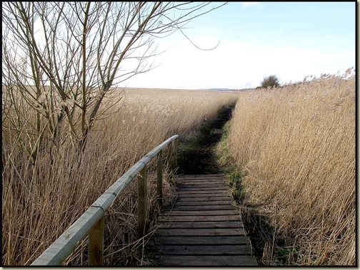 The shore path to Neston Old Quay