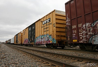 IMG_1653 copy