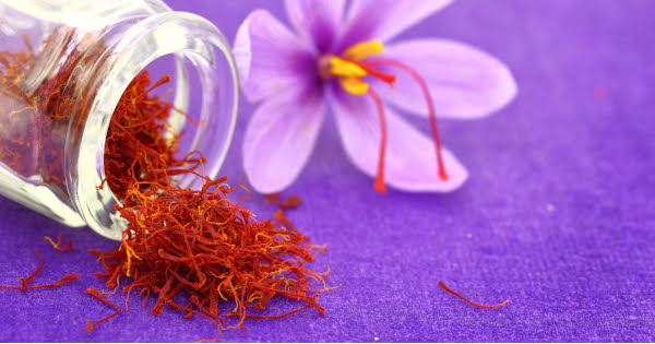 Studies on Saffron Κρόκος