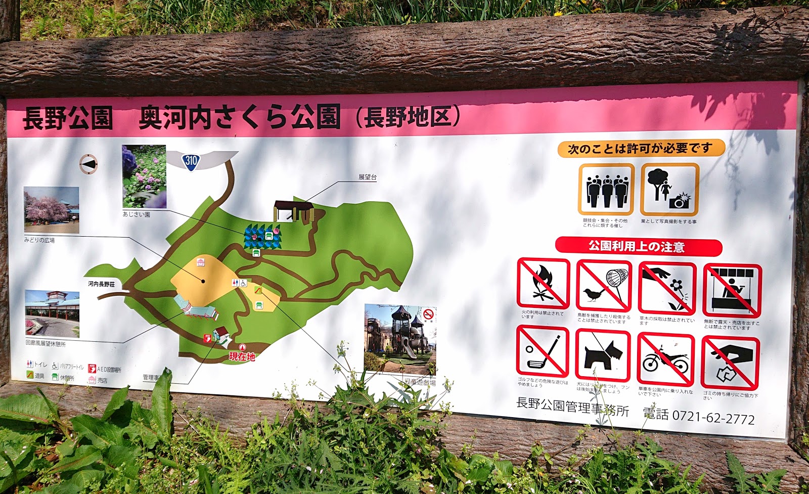 南河内探訪 長野公園 奥河内さくら公園 長野地区 河内長野市 河内長野駅の近くで桜を楽しむ