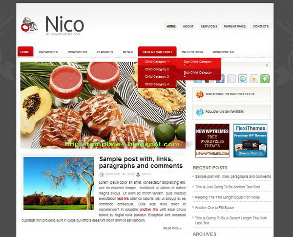 Nico WordPress Theme