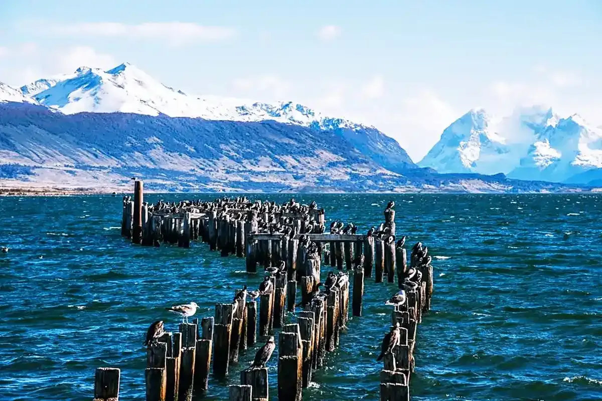 Puerto Natales, Patagonia travel guide, best places to visit in Patagonia, Wonders of Patagonia, Patagonia trip planning, Patagonia tourist destinations, Patagonia attractions, Best time to visit Patagonia, Patagonia hiking trails, Patagonia nature travel, Patagonia adventure tours, Patagonia must-visit spots, Exploring Patagonia, Patagonia wildlife, Patagonia for first-time travelers, Patagonia national parks, Patagonia travel tips, Patagonia trekking, Torres del Paine National Park, Perito Moreno Glacier, Patagonia hiking routes, Patagonia adventure travel