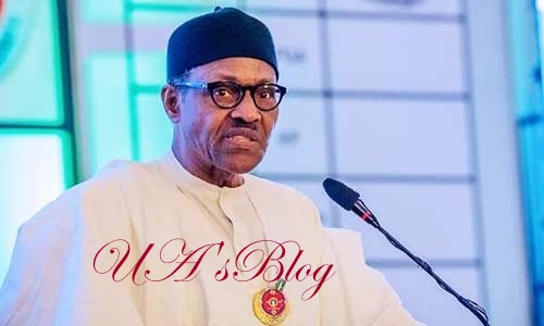 I’ll end illegal tax collections – Buhari