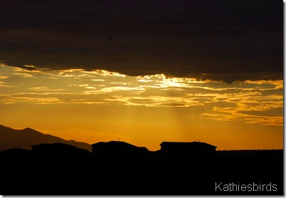 0077 Sunrise 6-2-08
