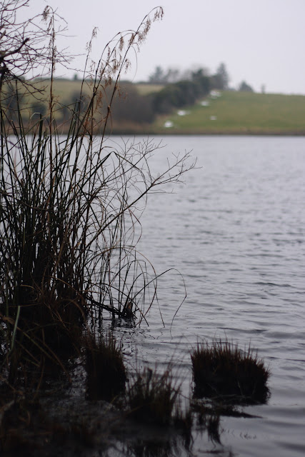 Lough Down, Moycullen