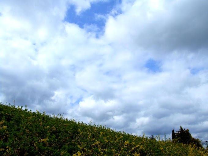 082 #青空 #空 #雲 #風景 #自然