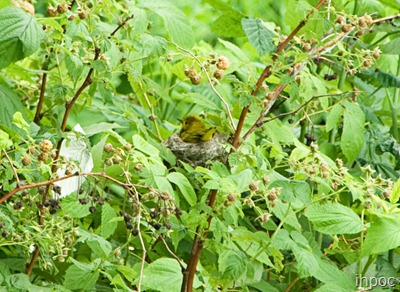 IMG_5628 copy2
