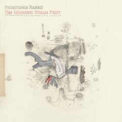 Frightened Rabbit - The Midnight Organ Fight (album cover)