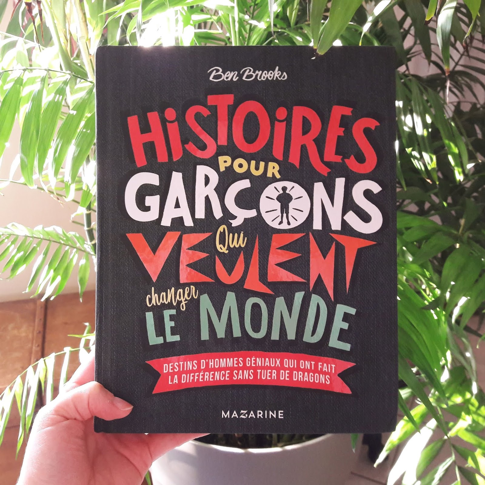 Histoires pour garçons qui veulent changer le monde de Ben Brooks et Quinton Winter