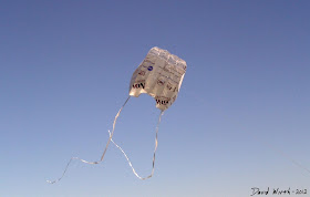 homemade kite, diy, tyvek, how to