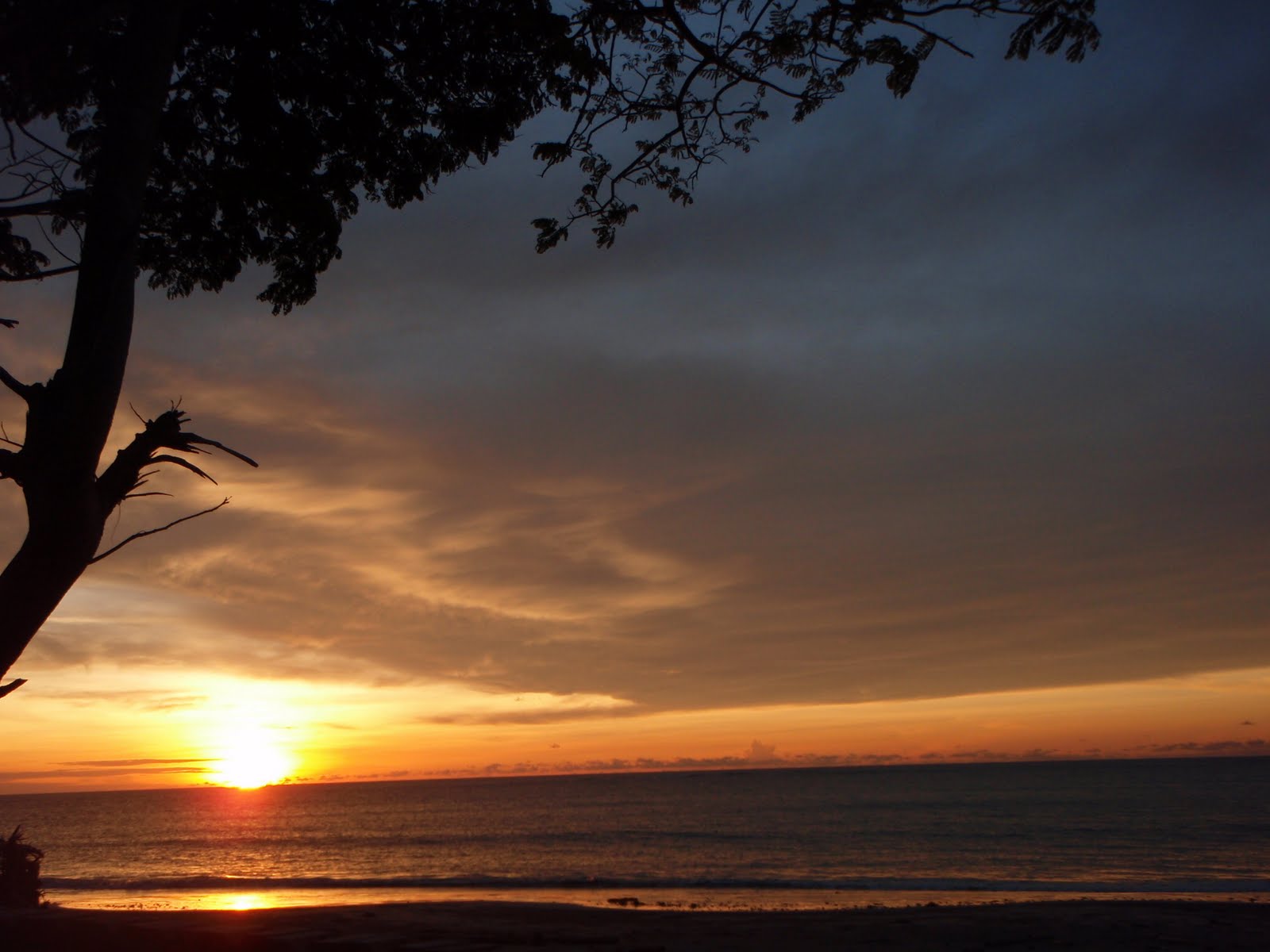 Lukisan Pemandangan Waktu Senja Cikimmcom