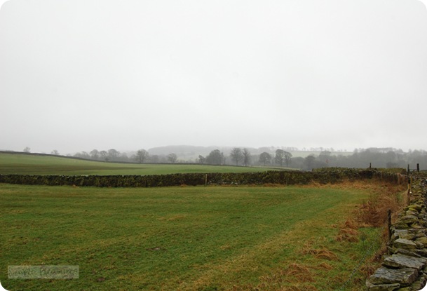 DSC_4065b