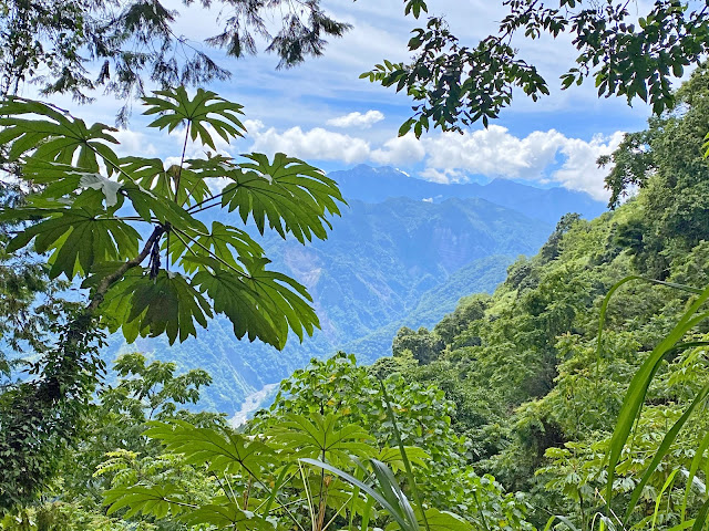 展望玉山主峰、北峰、北北峰