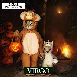 Qué gatito de Halloween eres según tu signo VIRGO