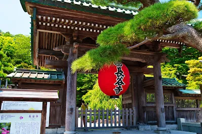 長谷寺　山門
