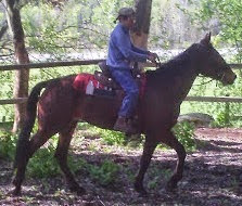 image Ember being ridden with sadde