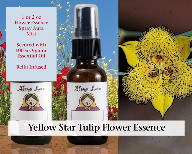 Scented Yellow Star Tulip Flower Essence