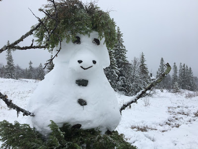 Vinter, höst, snö, snögubbe, väder, fjällflickan, kompis, saker att göra, ute