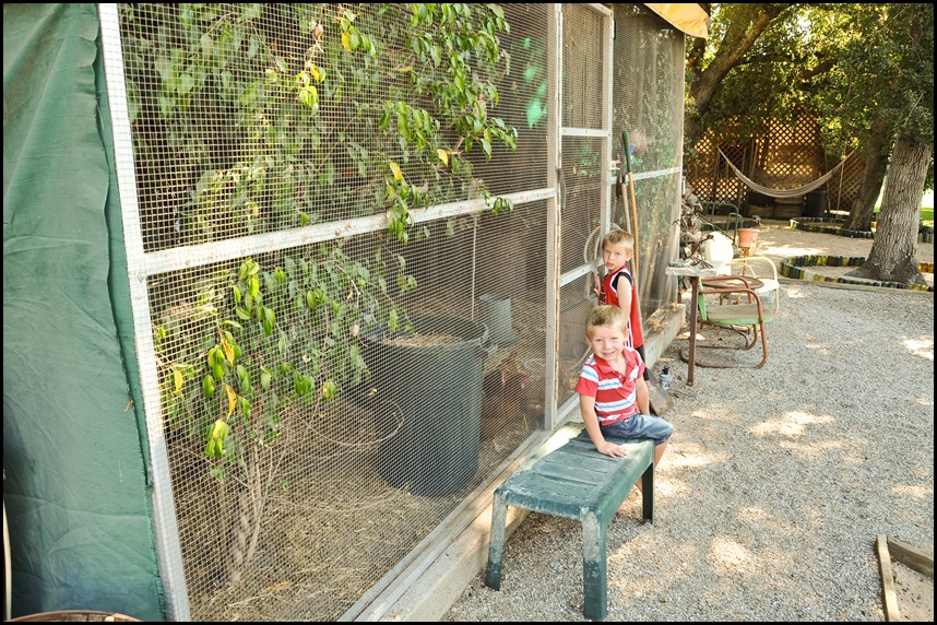 DSC_008920x24