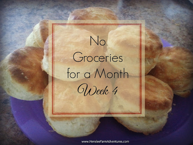 No Groceries for a month week 4