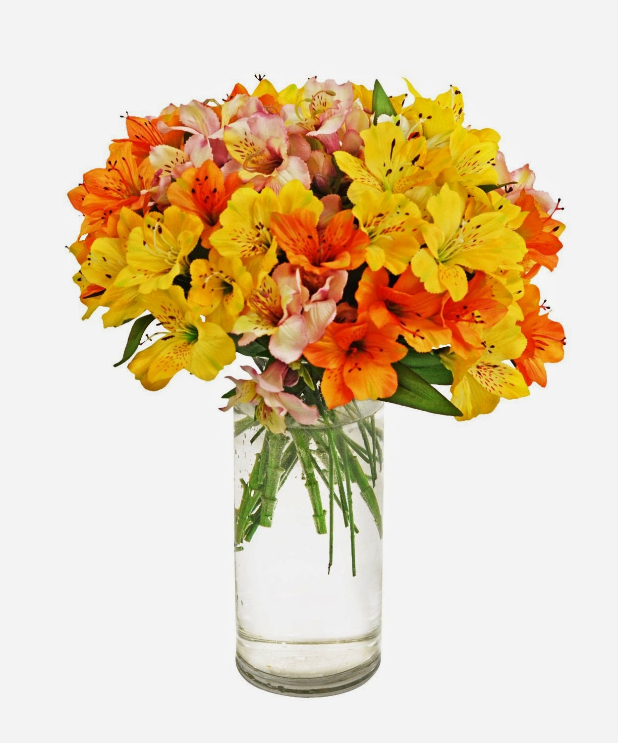 Alstromeria Bouquet - Assorted Colors (10 Bloom) 