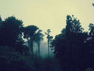 Noites mágicas. Sintra.