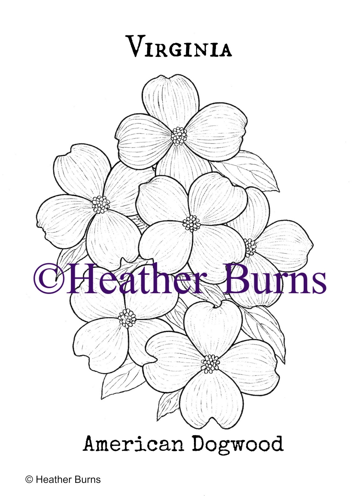 Download Dogwood Flower Coloring Pages Sketch Coloring Page