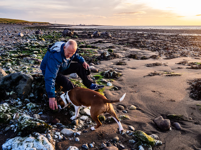 Photo of Phil washing Ruby's ball in a pool after it got covered in sand