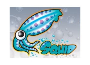 E-Book Panduan Instalasi Squid Pada Debian 7