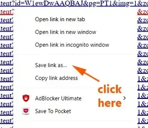 Download And Save Google Book Preview Pages