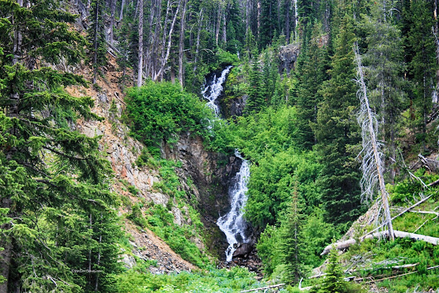 Yellowstone Lake east entrance Absaroka volcanics Buffalo Bill Cody Wyoming copyright RocDocTravel.com