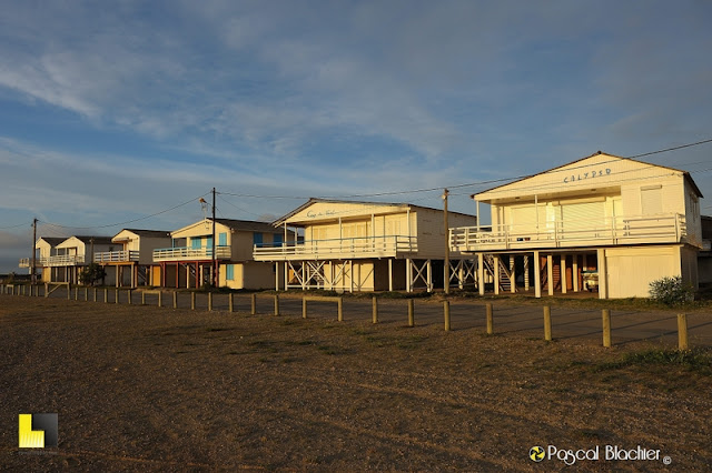 gruissan plage photo pascal blachier