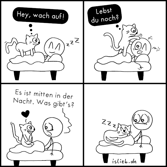 Katzen-Comic islieb