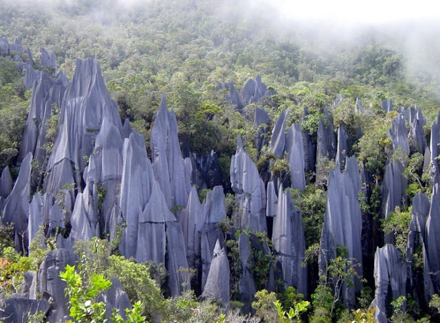 Vườn quốc gia Gunung Mulu - Vẻ Đẹp Tự Nhiên Malaysia