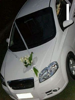 Decoracion de Coches para Boda, parte 1