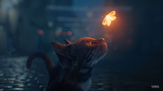 صورة قطة تنظر إلى الفراشة ذهبية مضيئة بجودة 4K