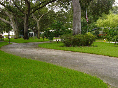 pressure washing palm harbor