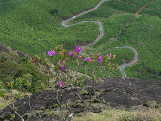 Munnar