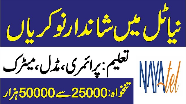 Nayatel Jobs 2022 Online Apply - Nayatel Jobs Sargodha - Nayatel Jobs Gujranwala - Nayatel Jobs in Multan Nayatel Jobs Peshawar 