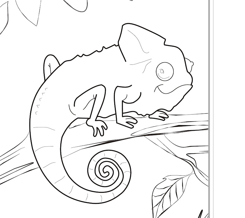 Coloring Pages Of Zoo - Best Coloring Pages Collections