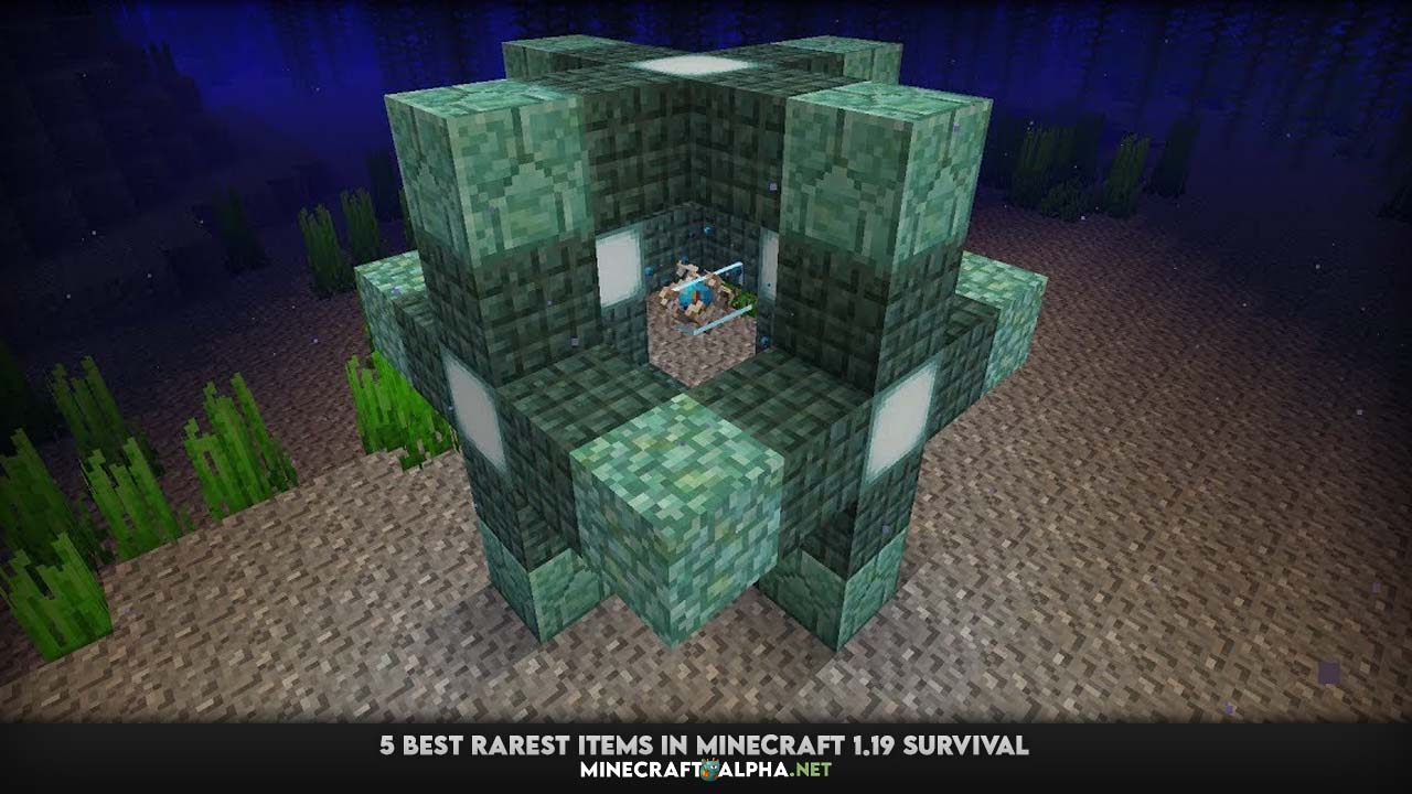 5 Best Rarest Items in Minecraft 1.19 Survival