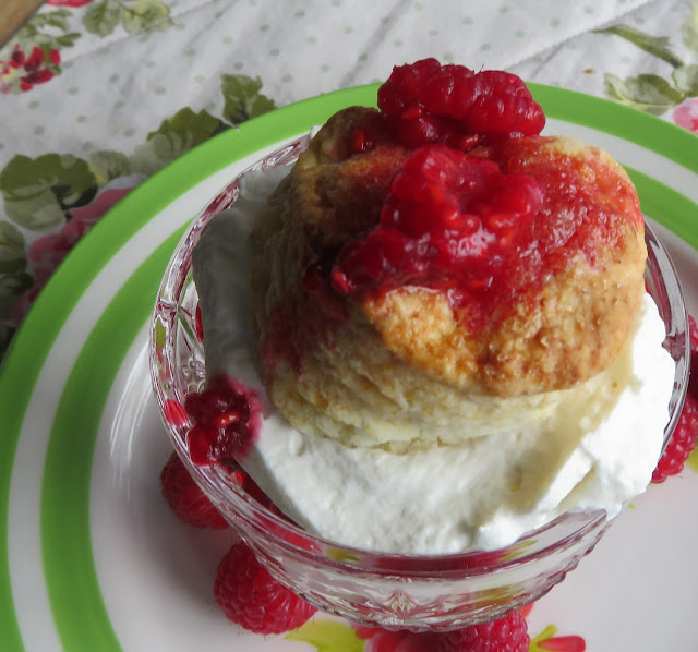 Raspberry Shortcake