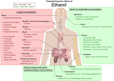 efek-alhohol-terhadap-tubuh-dalam-jangka-panjang