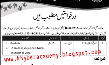 Job in Office Chief Engineer Barkiyat, Muzafarabad