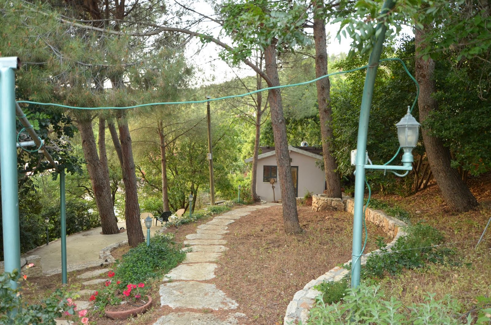 המרחב