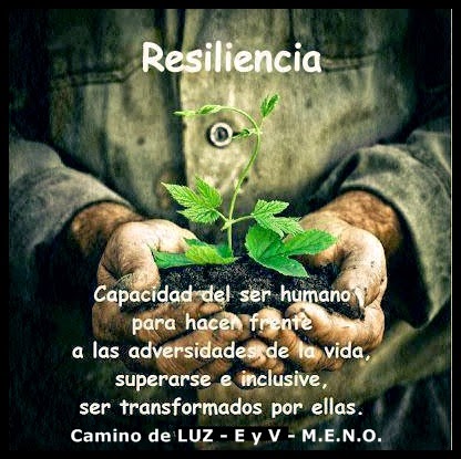  Resiliencia