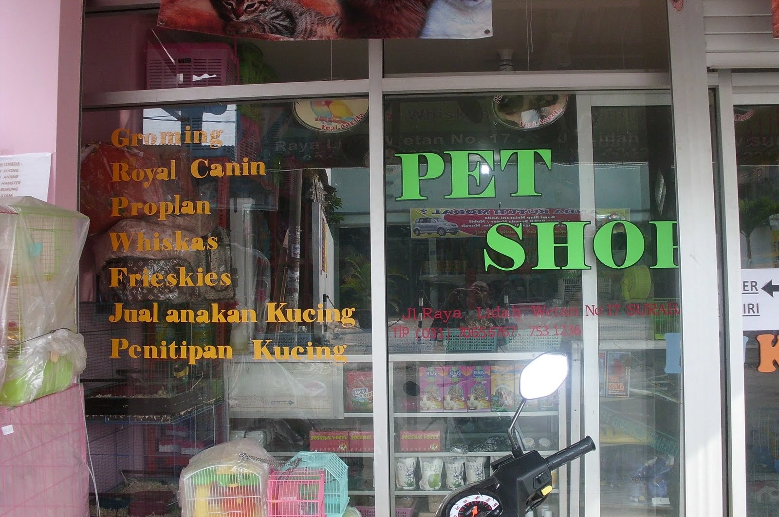 pet shop surabaya